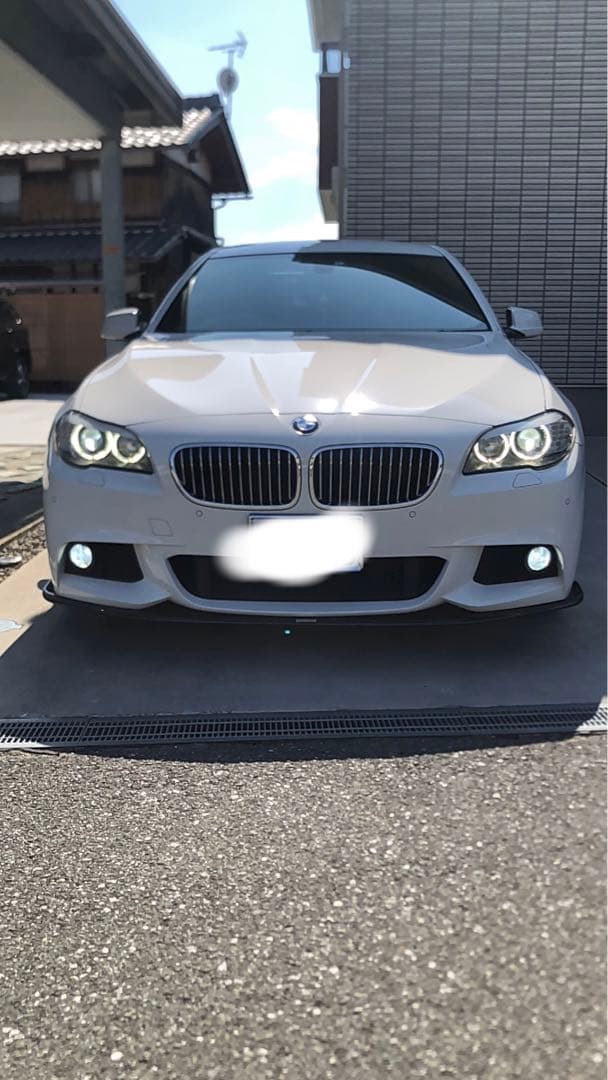  f10 フロントリップ　カーボン