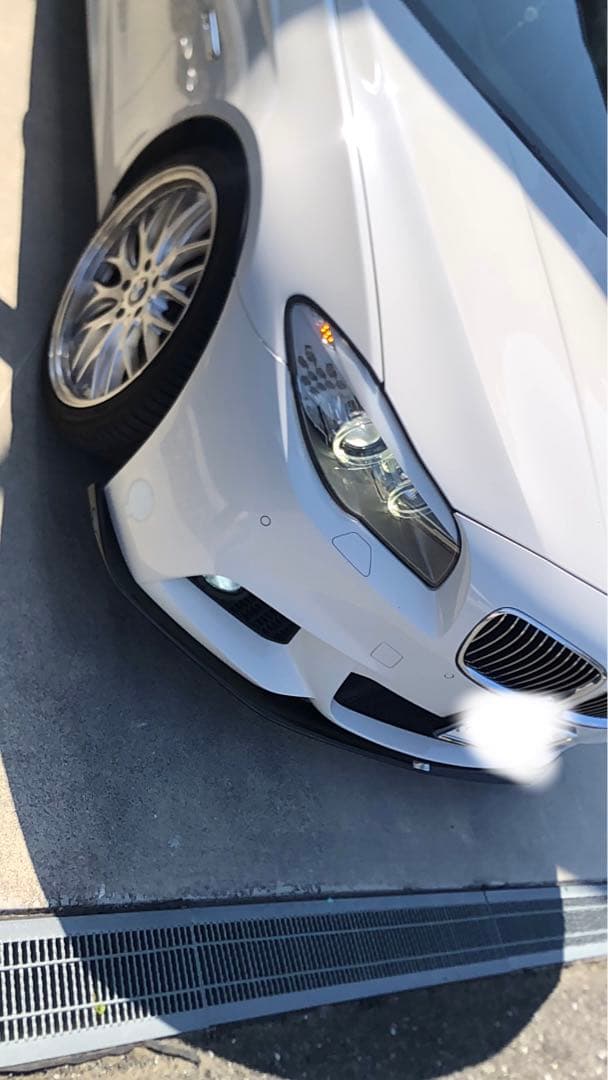  f10 フロントリップ　カーボン