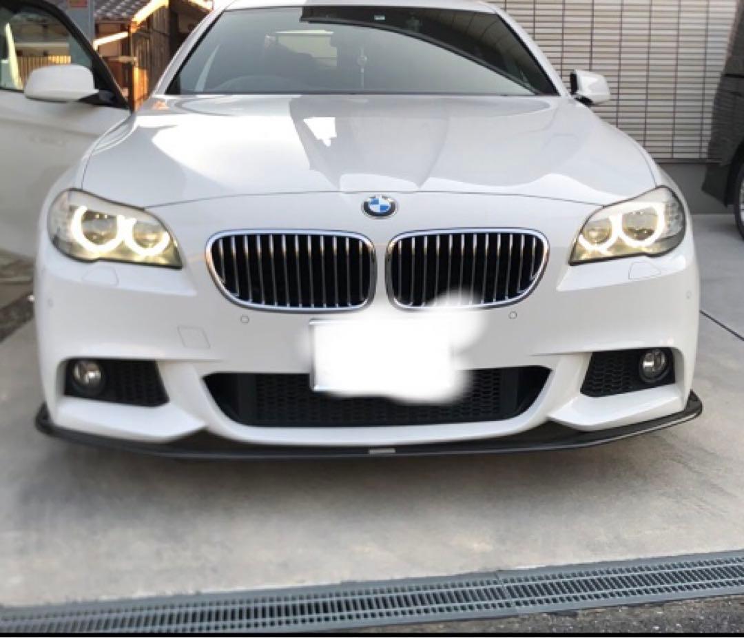  f10 フロントリップ　カーボン