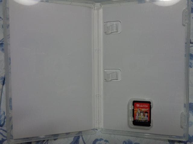 秋田・男鹿ミステリー案内 凍える銀鈴花 動作可能