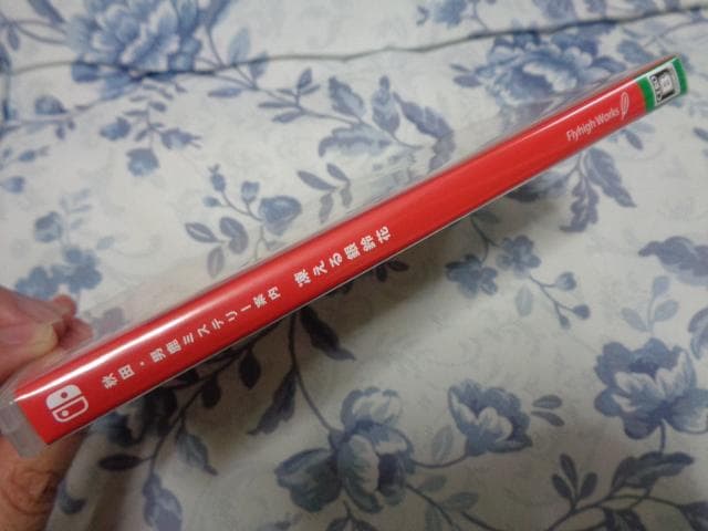 秋田・男鹿ミステリー案内 凍える銀鈴花 動作可能