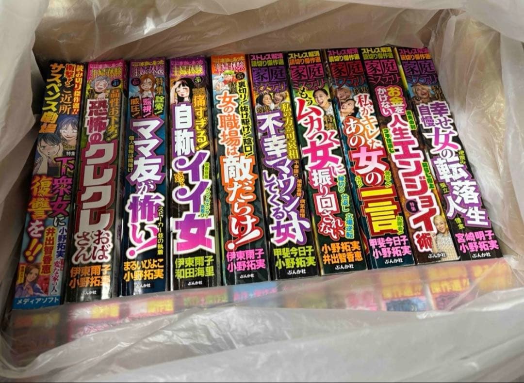 レディースコミック まとめ売り24冊