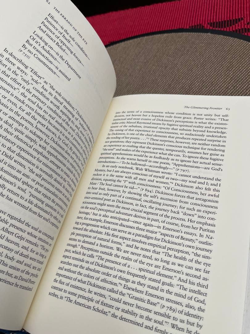 Emily Dickinson Perception and the Poet…