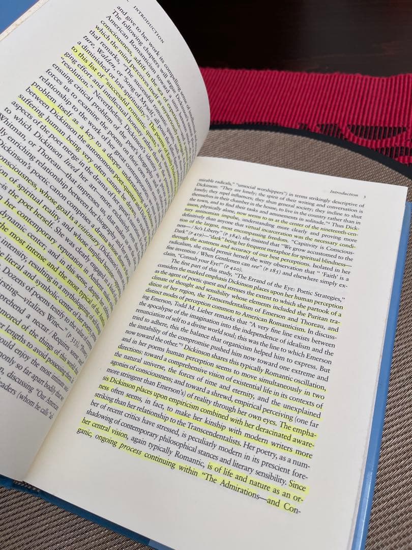 Emily Dickinson Perception and the Poet…