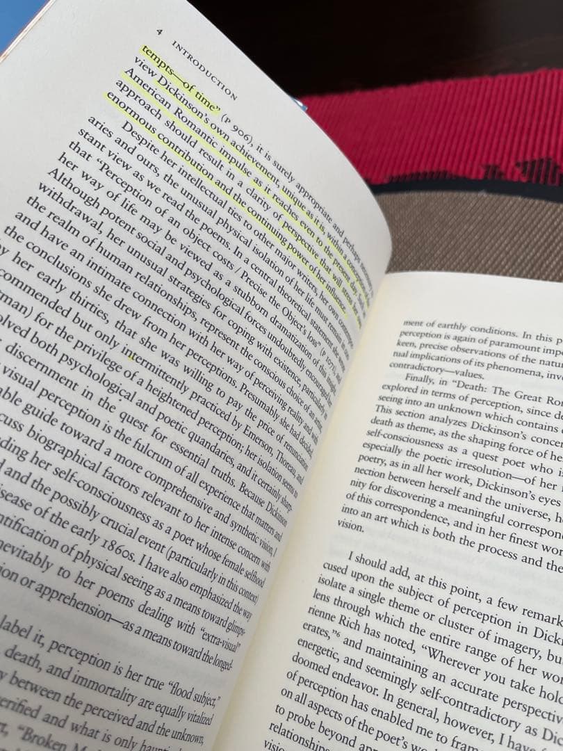 Emily Dickinson Perception and the Poet…