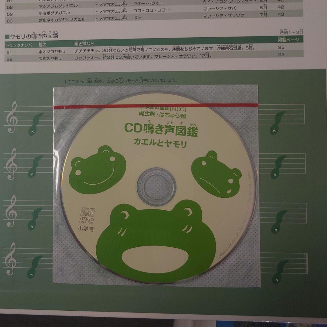 小学館の図鑑NEO11巻セット