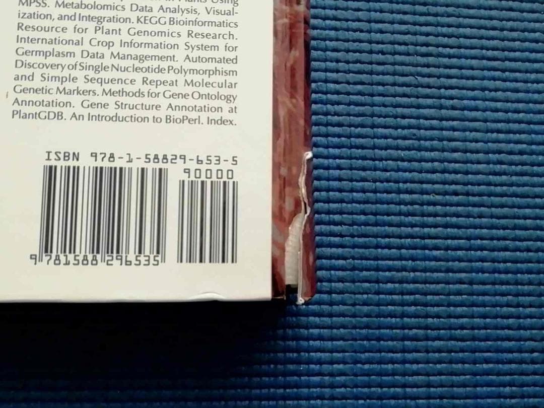洋書 Plant Bioinformatics　カバー表紙破れ　英語