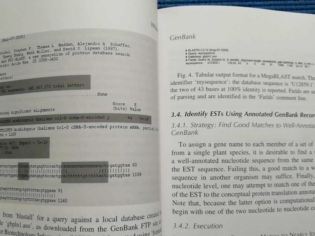 洋書 Plant Bioinformatics　カバー表紙破れ　英語