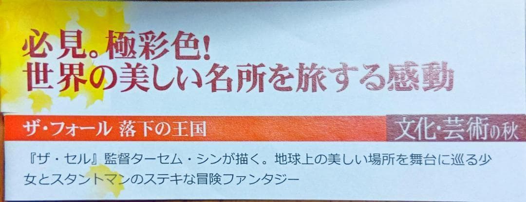 初版激レア The Fall ザ・フォール 落下の王国 日本語吹替えあり英語字幕