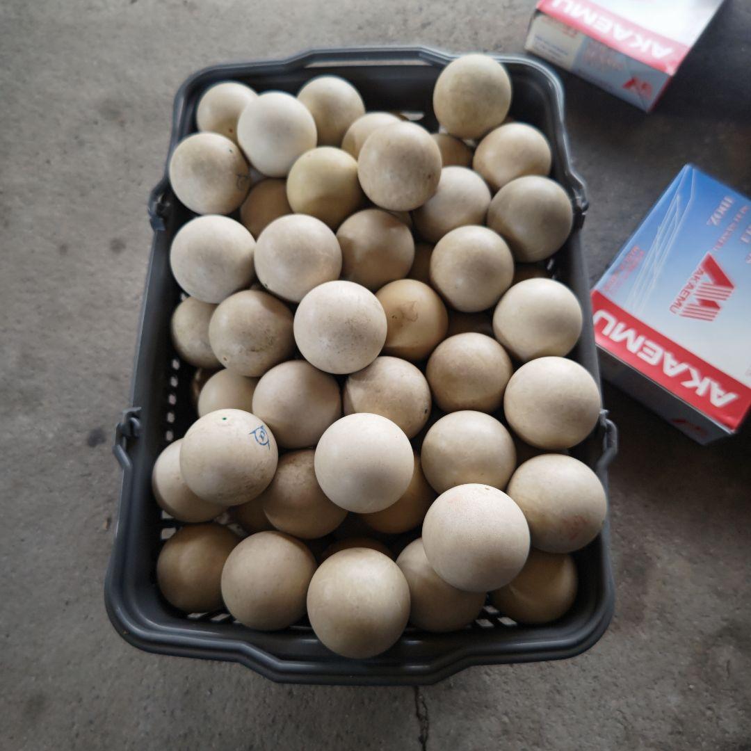 ソフトテニスボール　144球　中古