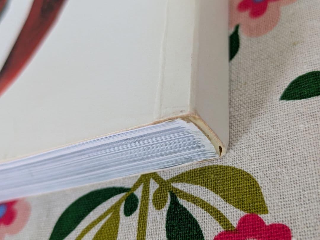 ゴリラズ書籍 Gorillaz Rise of the Ogre