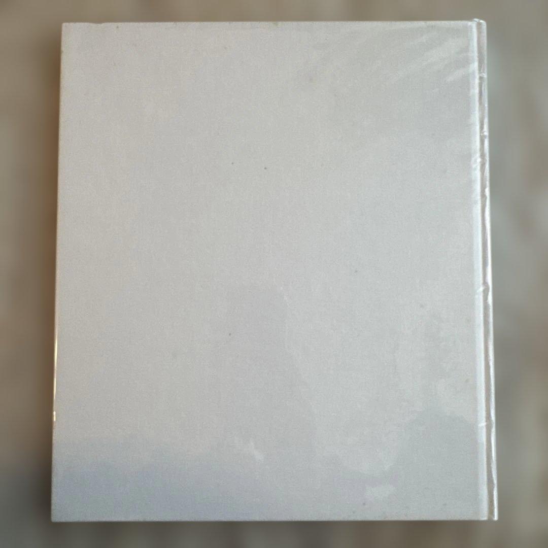 アート・デザイン・音楽 South Central Mark Steinmetz