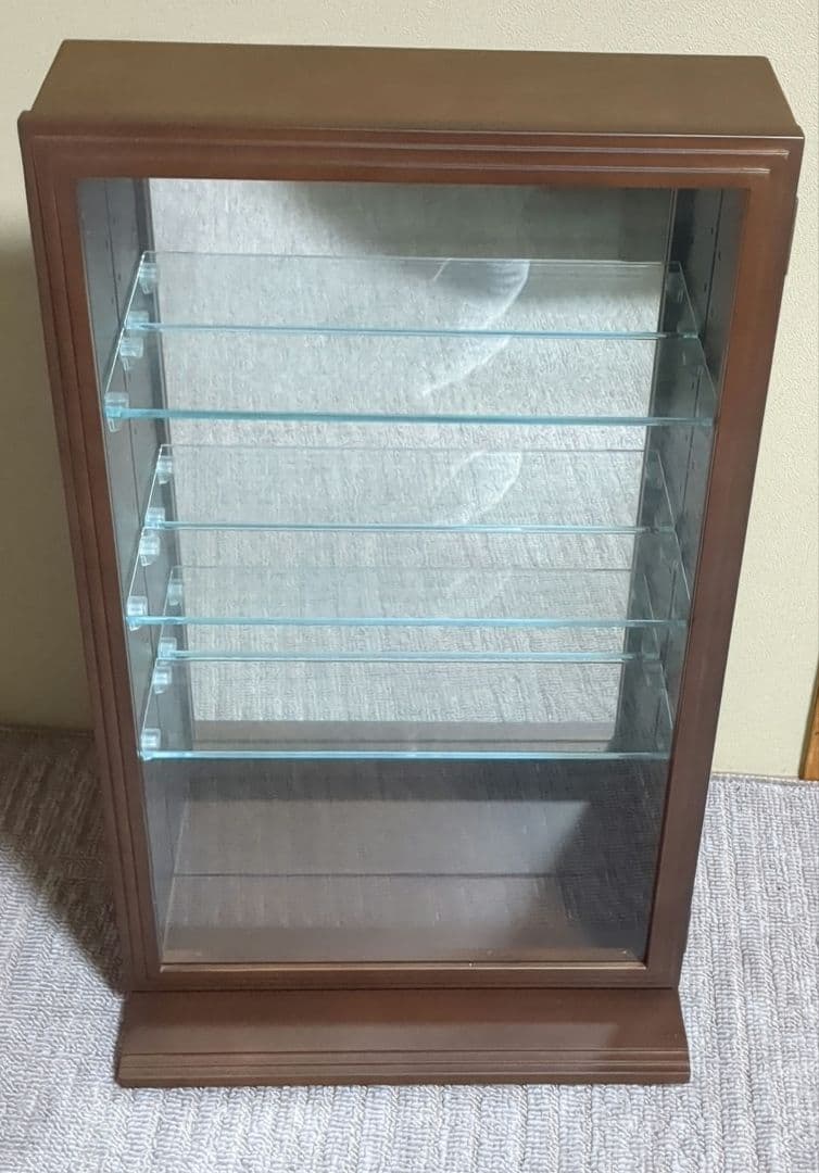 コレクションケースディスプレイケース ブラウン 塩川光明堂 カルトーネスカーラT