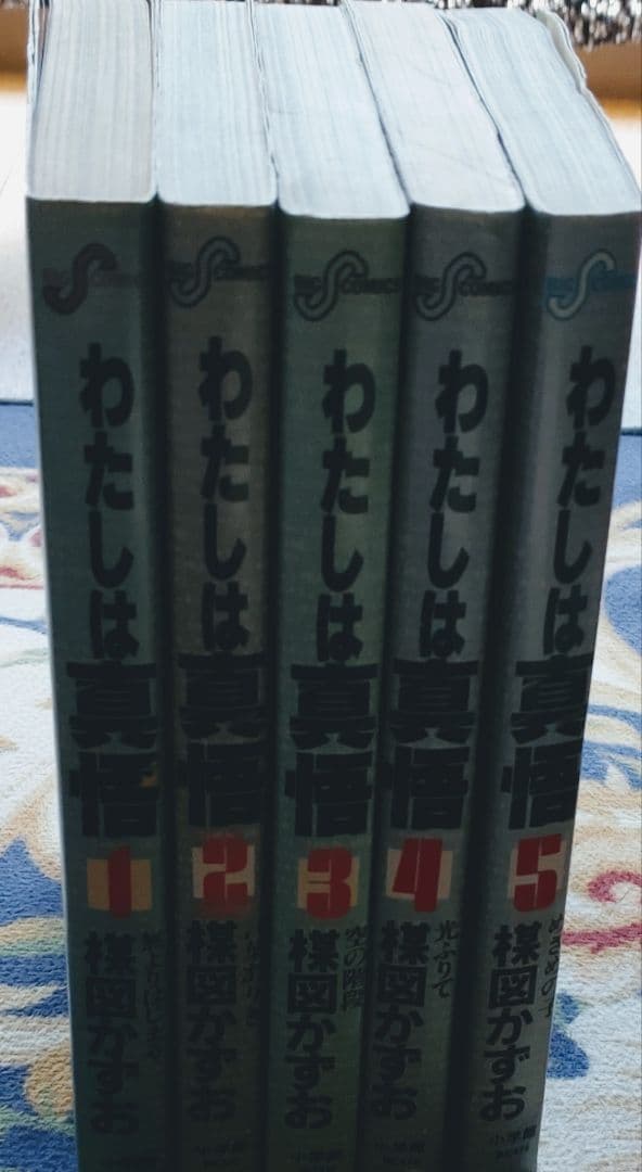 楳図かずお漫画 全10巻セット