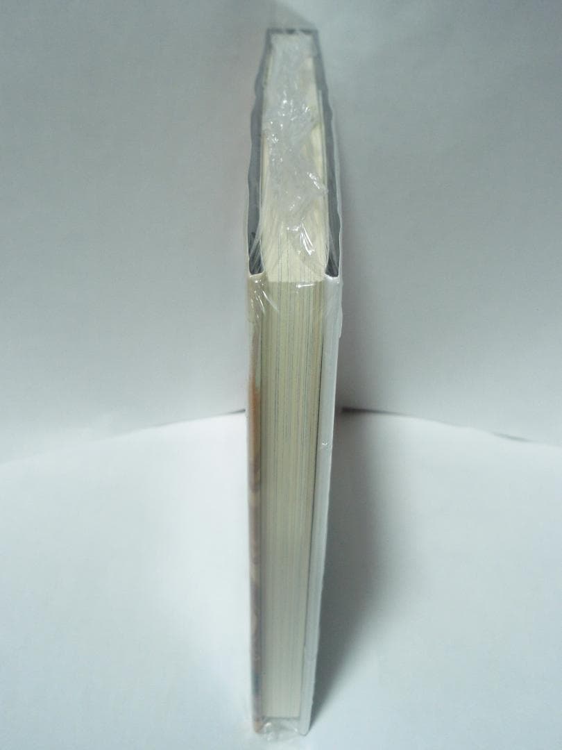 The Grimoire of Marisa 初版帯付 特典 スペルカード CD