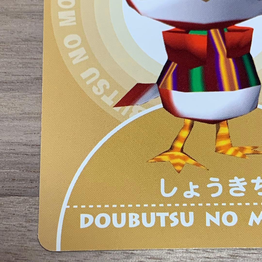 希少 どうぶつの森+ カードe しょうきち