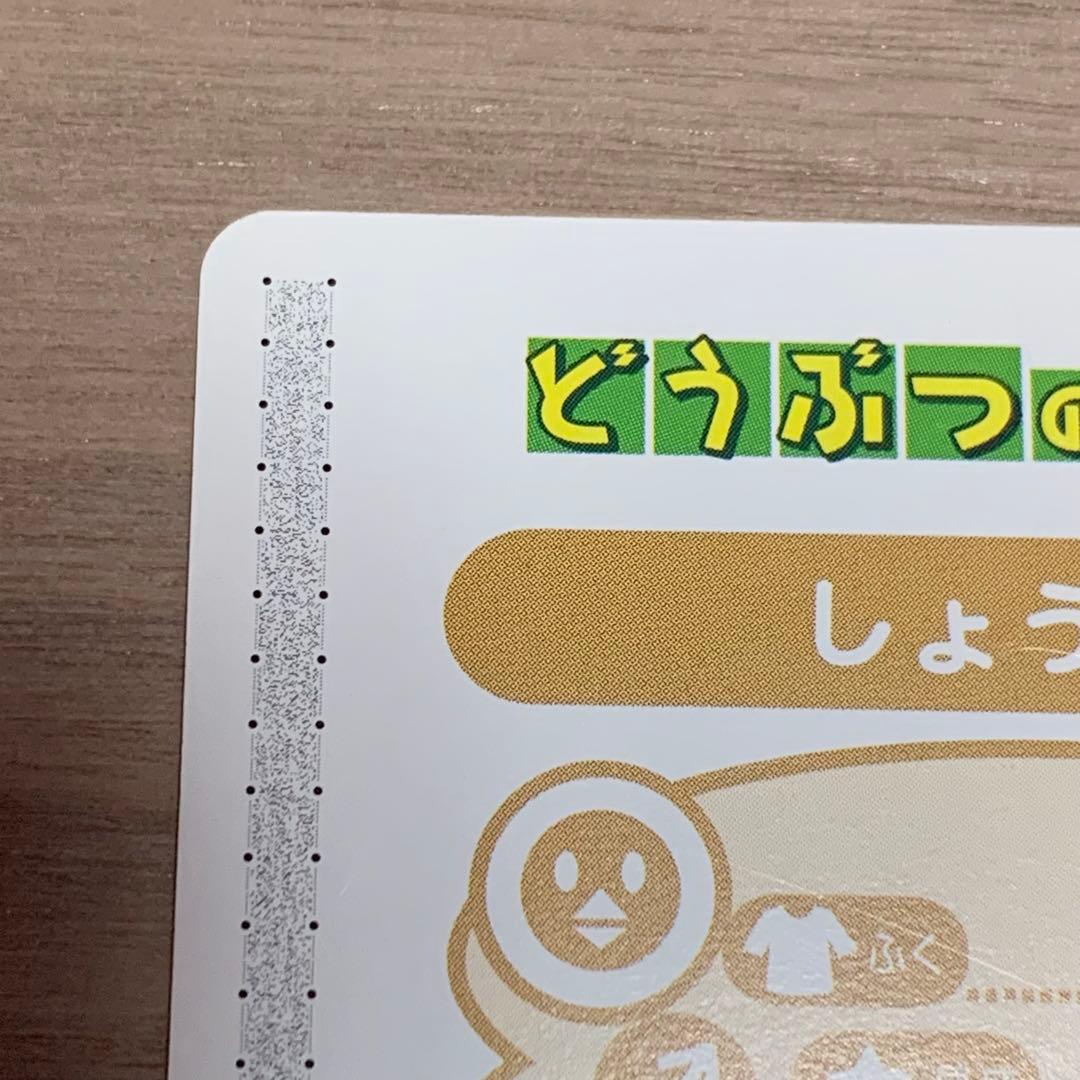 希少 どうぶつの森+ カードe しょうきち