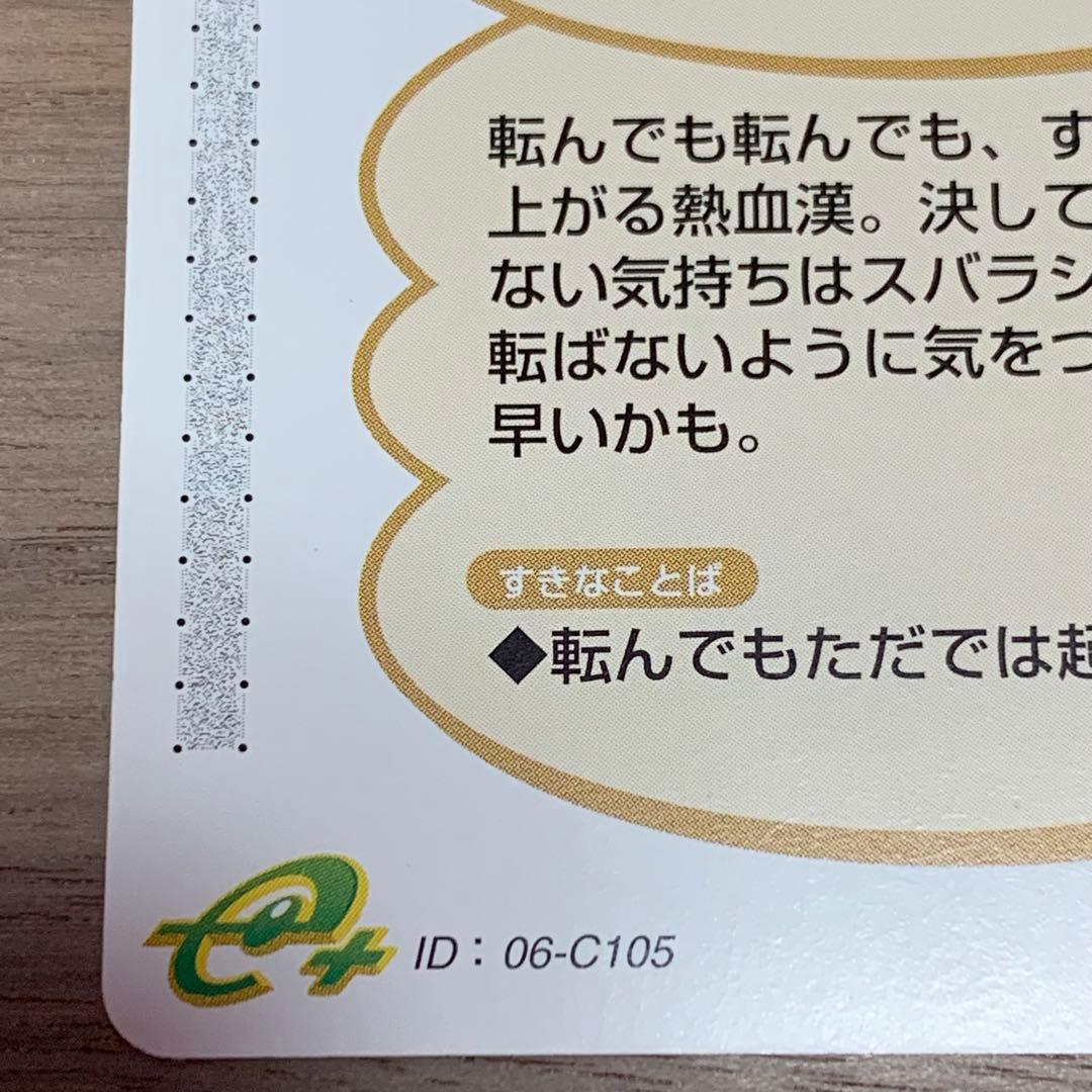 希少 どうぶつの森+ カードe しょうきち