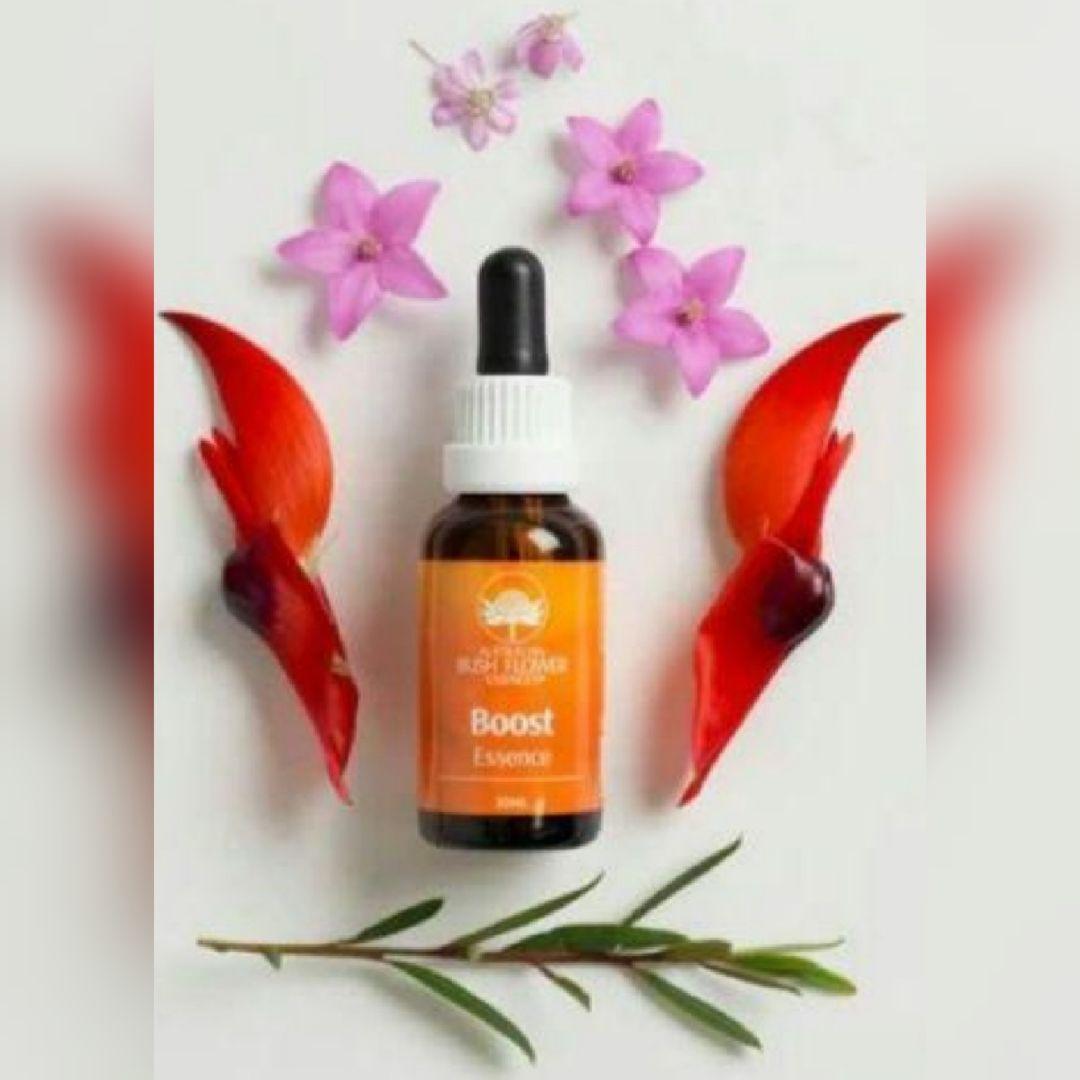 【専用】ブースト 『強化』オーストラリアンブッシュ　フラワーエッセンス　他