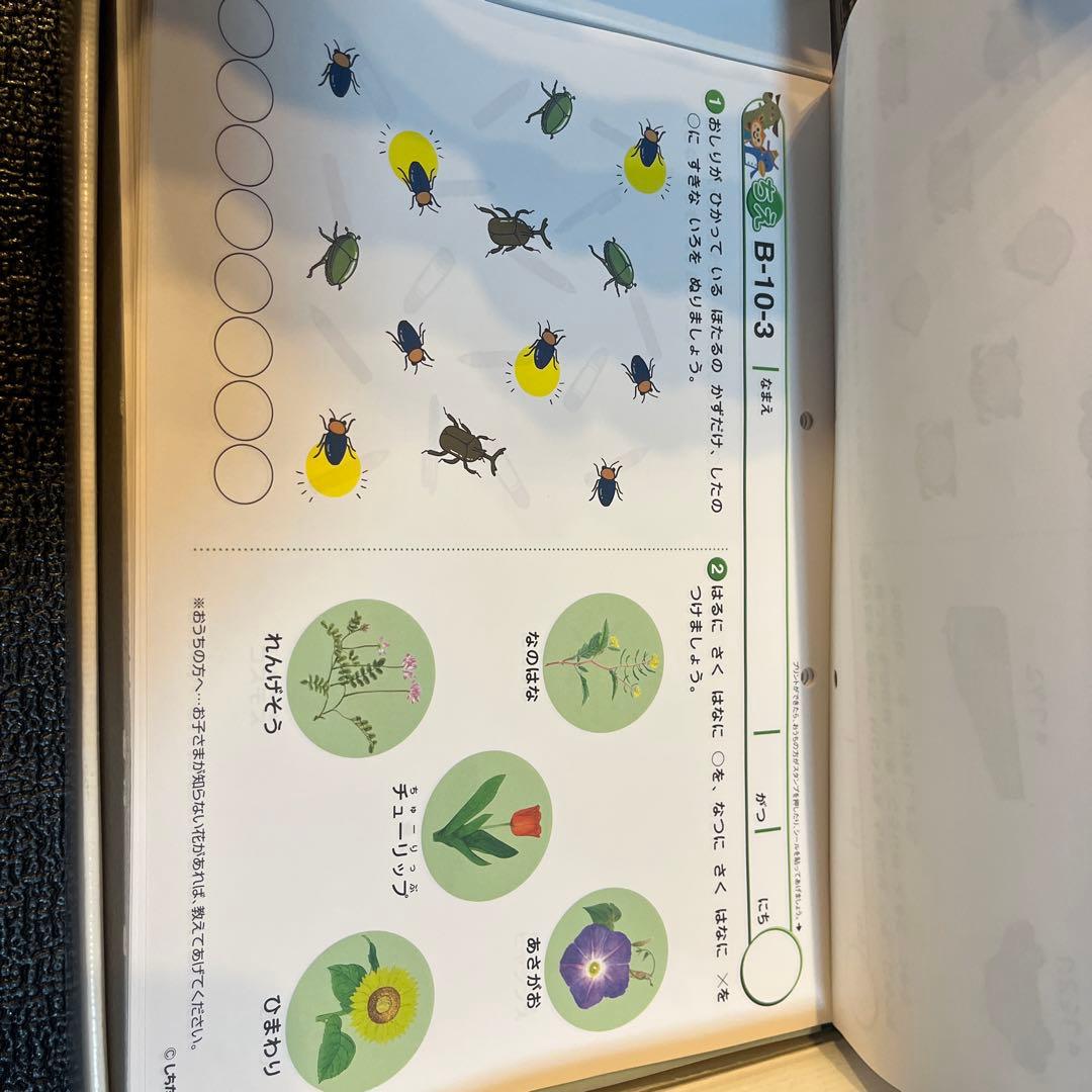 七田式 プリントB ちえ もじ　かず