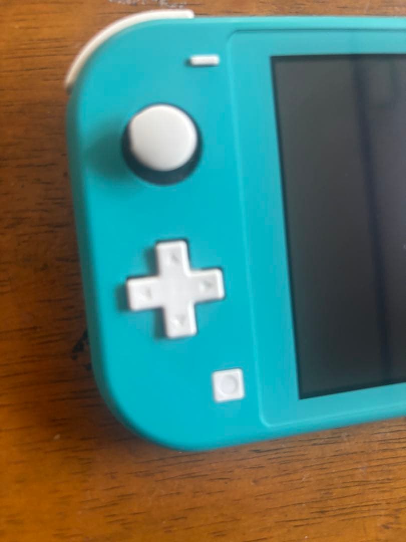 Switch Lite本体 充電器欠品 ピクミン1.2等 すぐに遊べるソフト付き