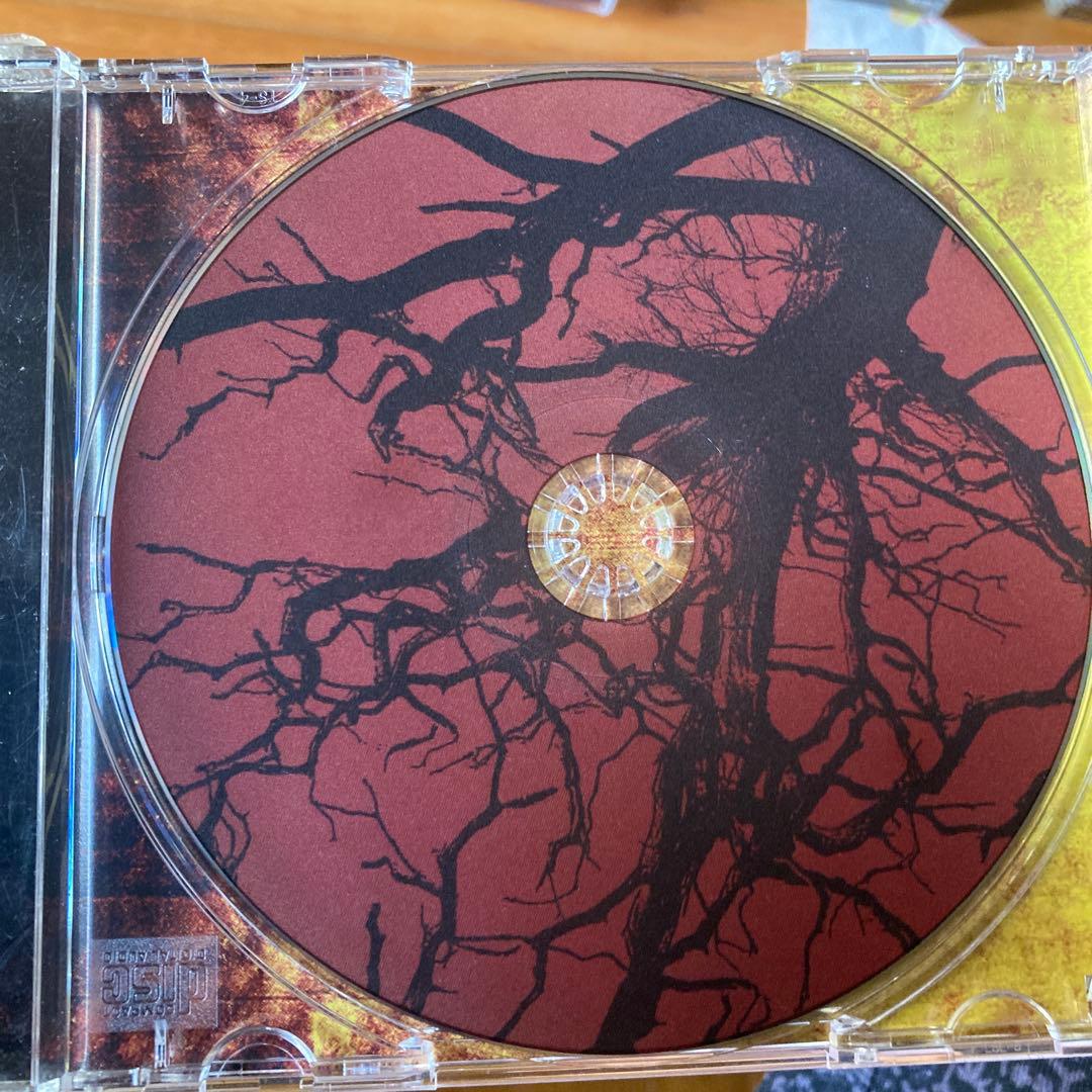 洋楽 conducting from the grave