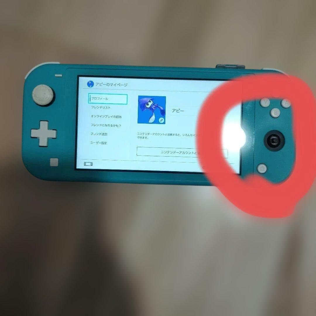 Nintendo Switch Lite 本体 ターコイズブルー　動作確認済み