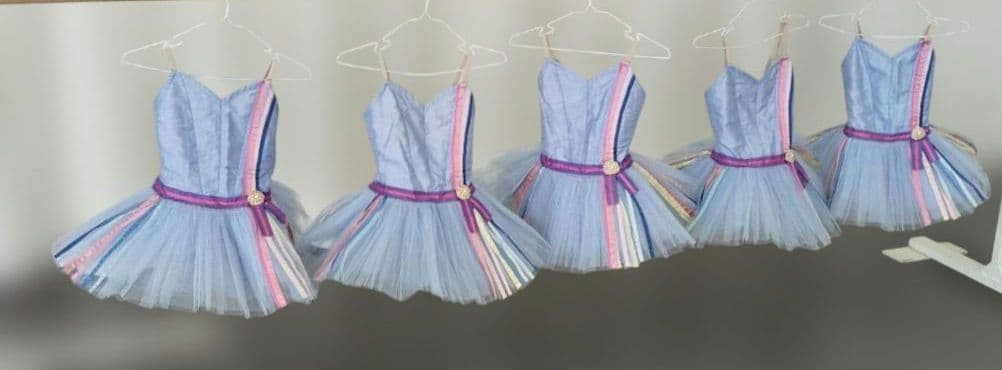 バレエ　小学校1、2年生チュチュ5着まとめ　ボンの長さ24~25