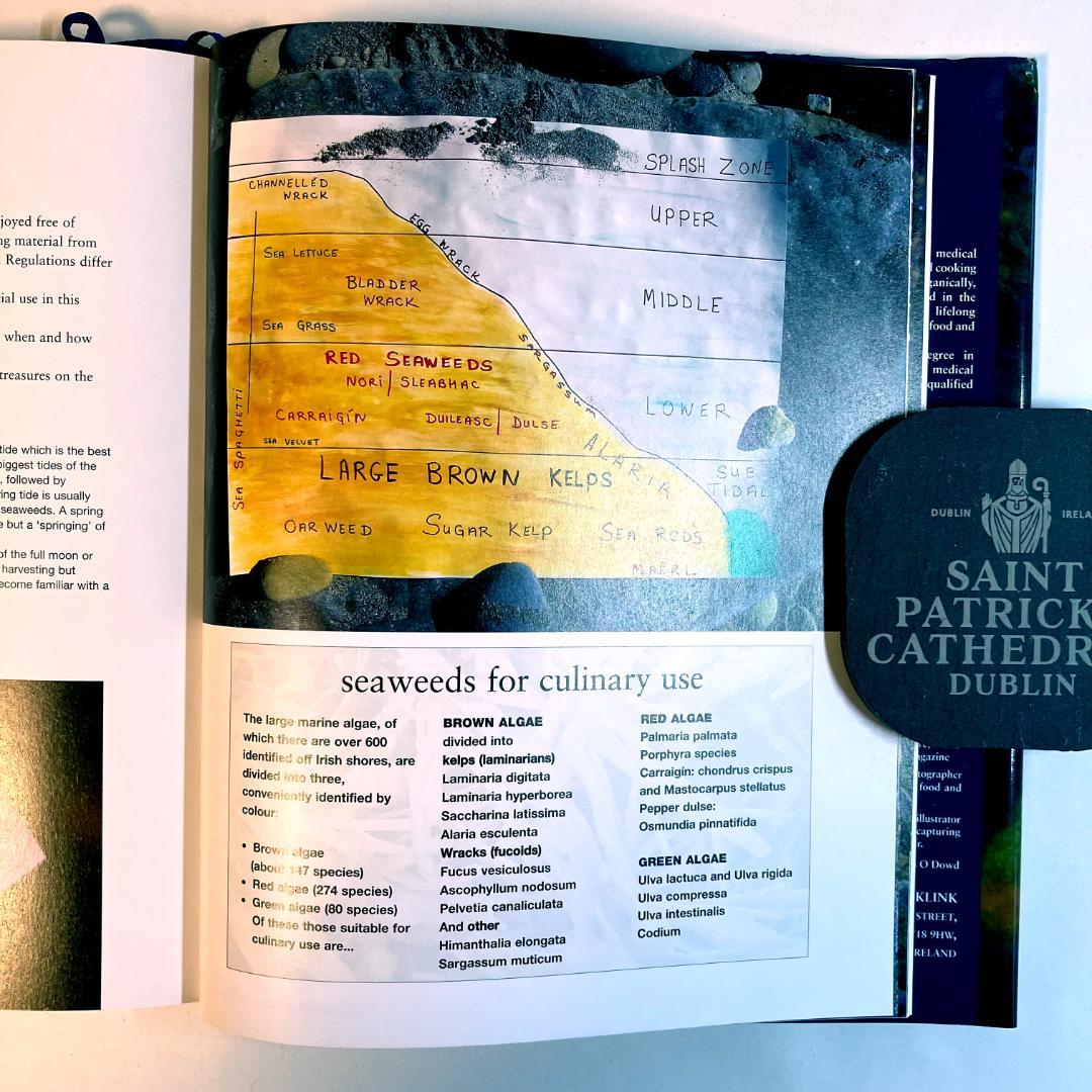 【洋書・料理本】Irish Seaweed Kitchen（海藻料理レシピ集）