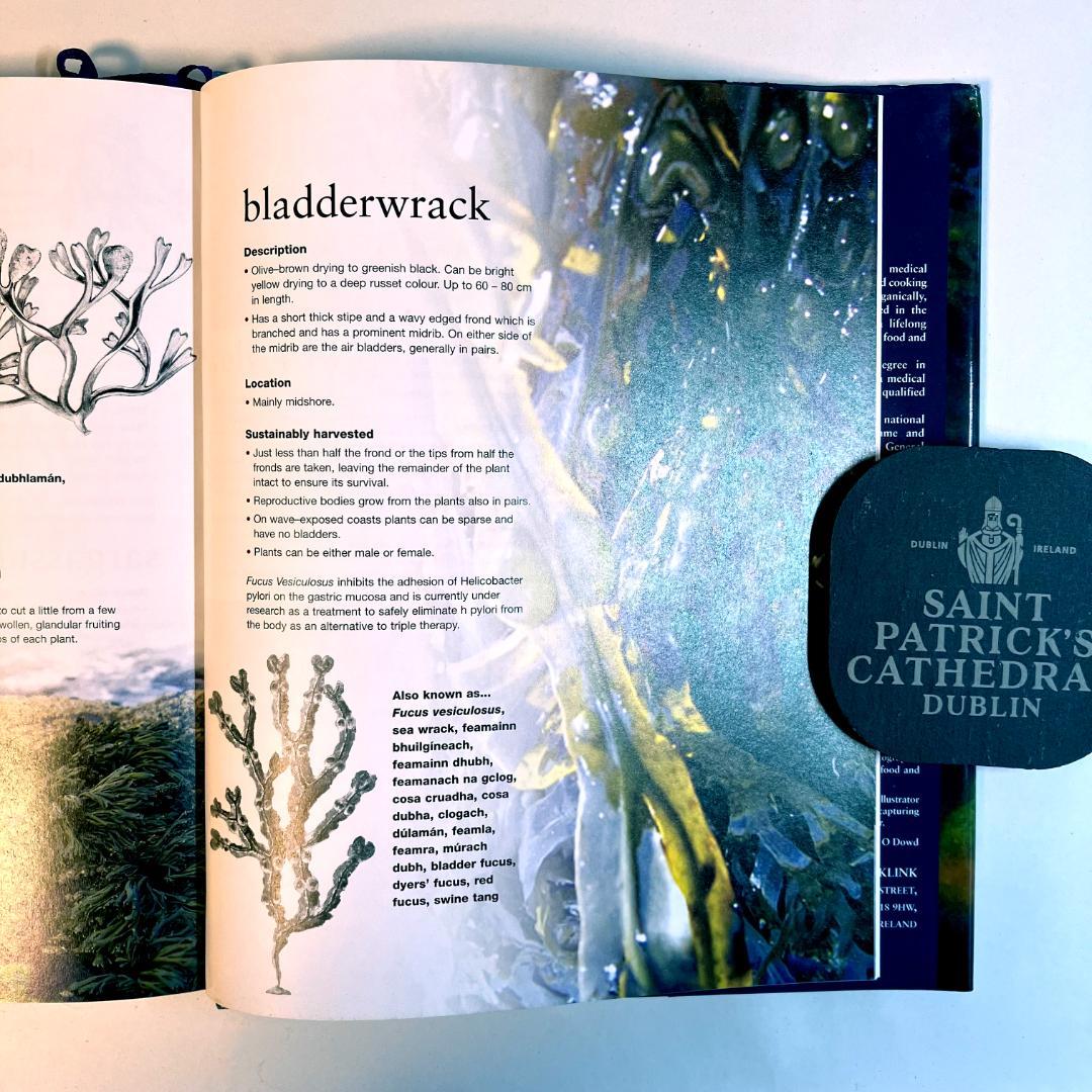 【洋書・料理本】Irish Seaweed Kitchen（海藻料理レシピ集）