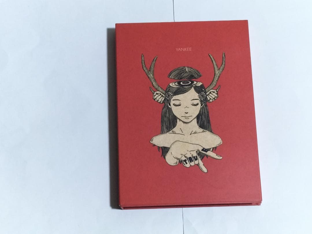 米津玄師 YANKEE 初回限定盤 画集盤 CD+画集 送料無料