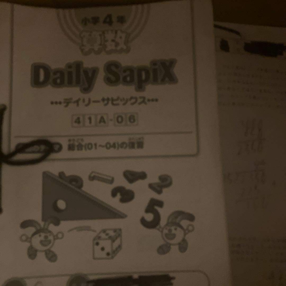 SAPIX4年2018 基礎トレーニング、デイリーサピックス