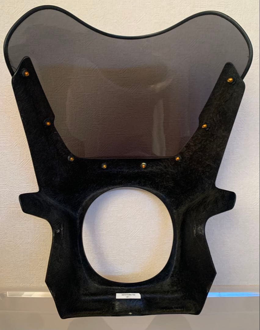 Kawasaki ビキニカウル