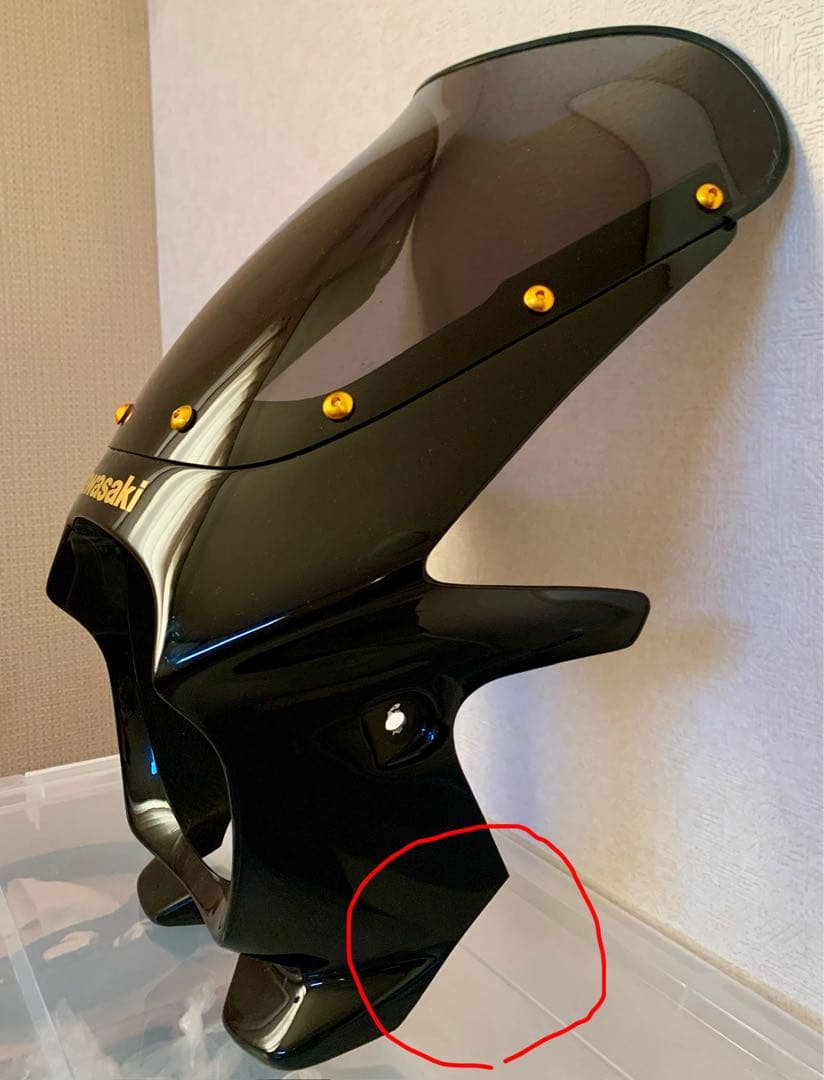 Kawasaki ビキニカウル