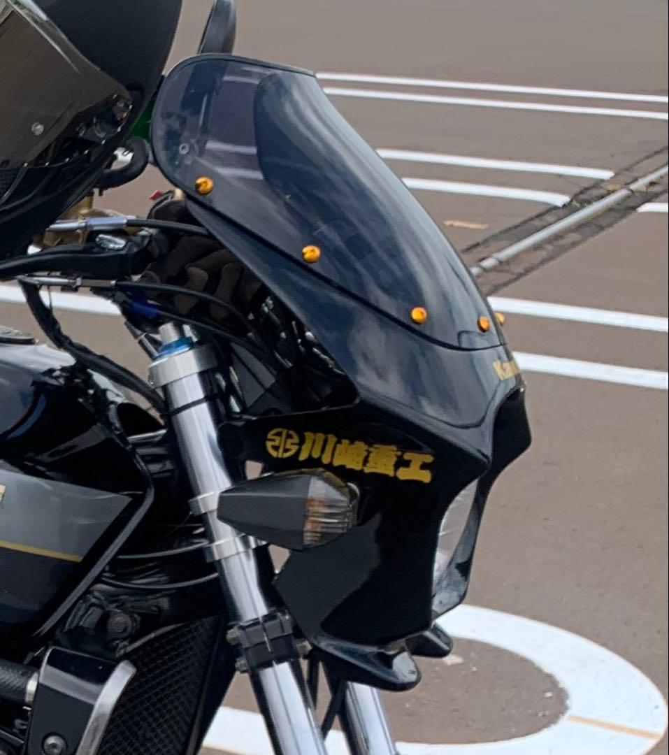 Kawasaki ビキニカウル