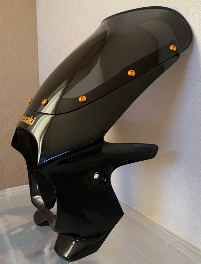 Kawasaki ビキニカウル