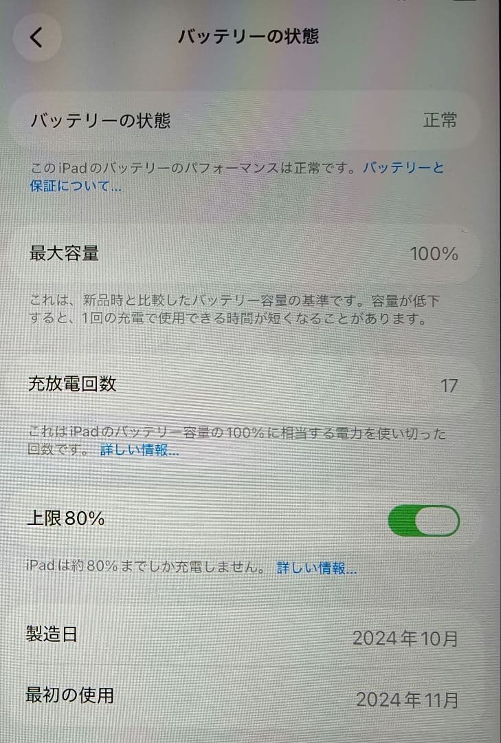 iPad mini 第7世代 A17 pro パープル