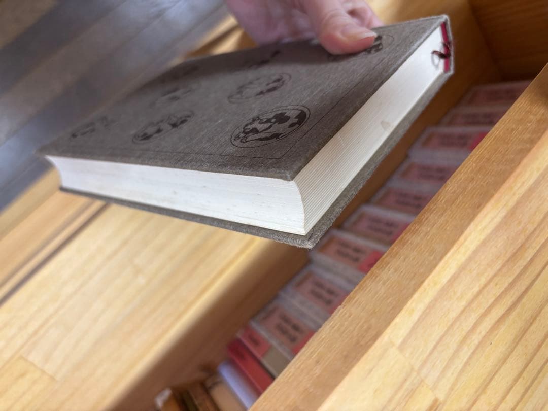 南総里見八犬伝　全10巻　曲亭馬琴 岩波書店