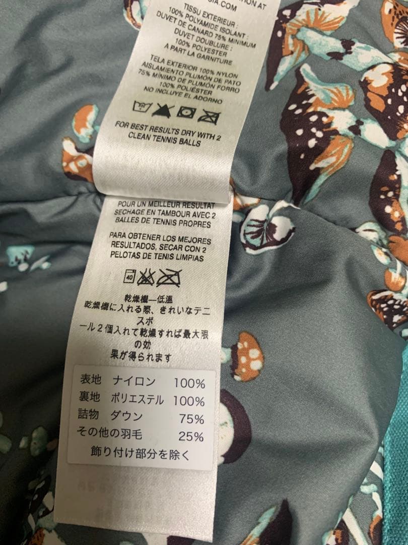 patagonia パタゴニア Bivy ビビー・フーデッド ダウンベスト