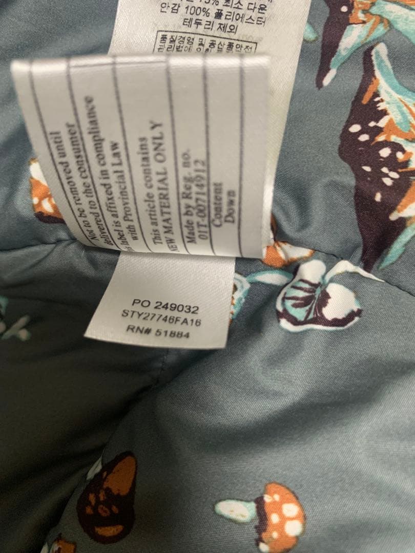 patagonia パタゴニア Bivy ビビー・フーデッド ダウンベスト