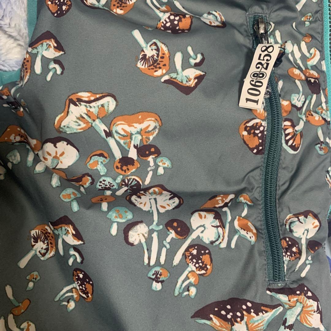 patagonia パタゴニア Bivy ビビー・フーデッド ダウンベスト