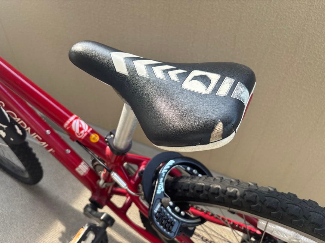 ルイガノ LOUIS GARNEAU LGS-J24 ジュニア自転車