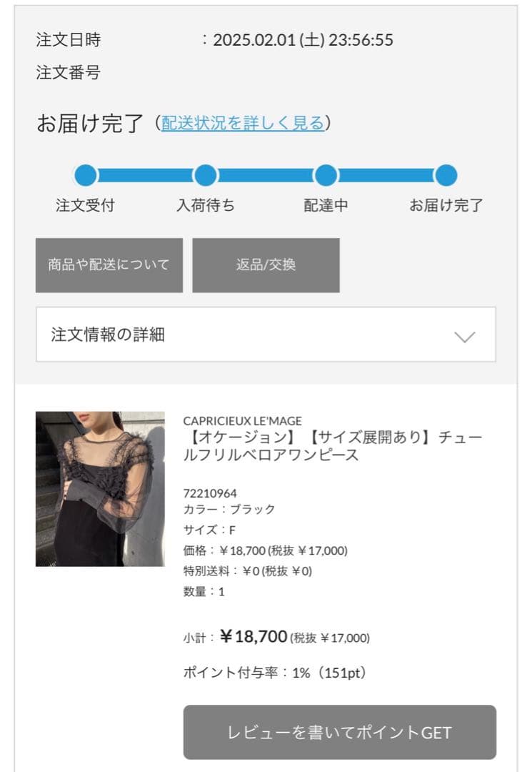 シースルーフリル袖 ブラックロングドレス