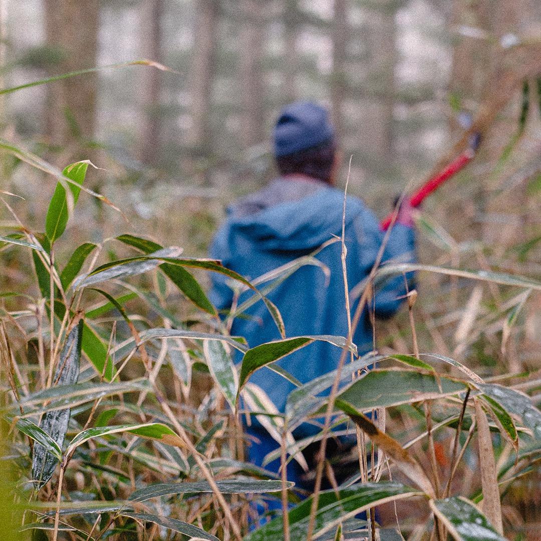 コーヒーフィルター 竹細工 日本製 すず竹 珈琲 珈琲器具 おうちカフェ