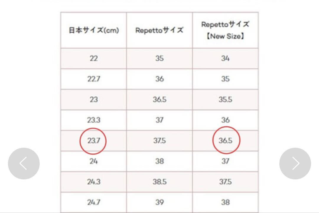 Repetto レオパード　バレエシューズ　36.5 new size
