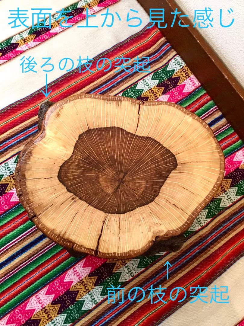 超絶ワイルド！天然樫の木で作成【森を感じられる大きい切り株ちゃぶ台】ミニテーブル