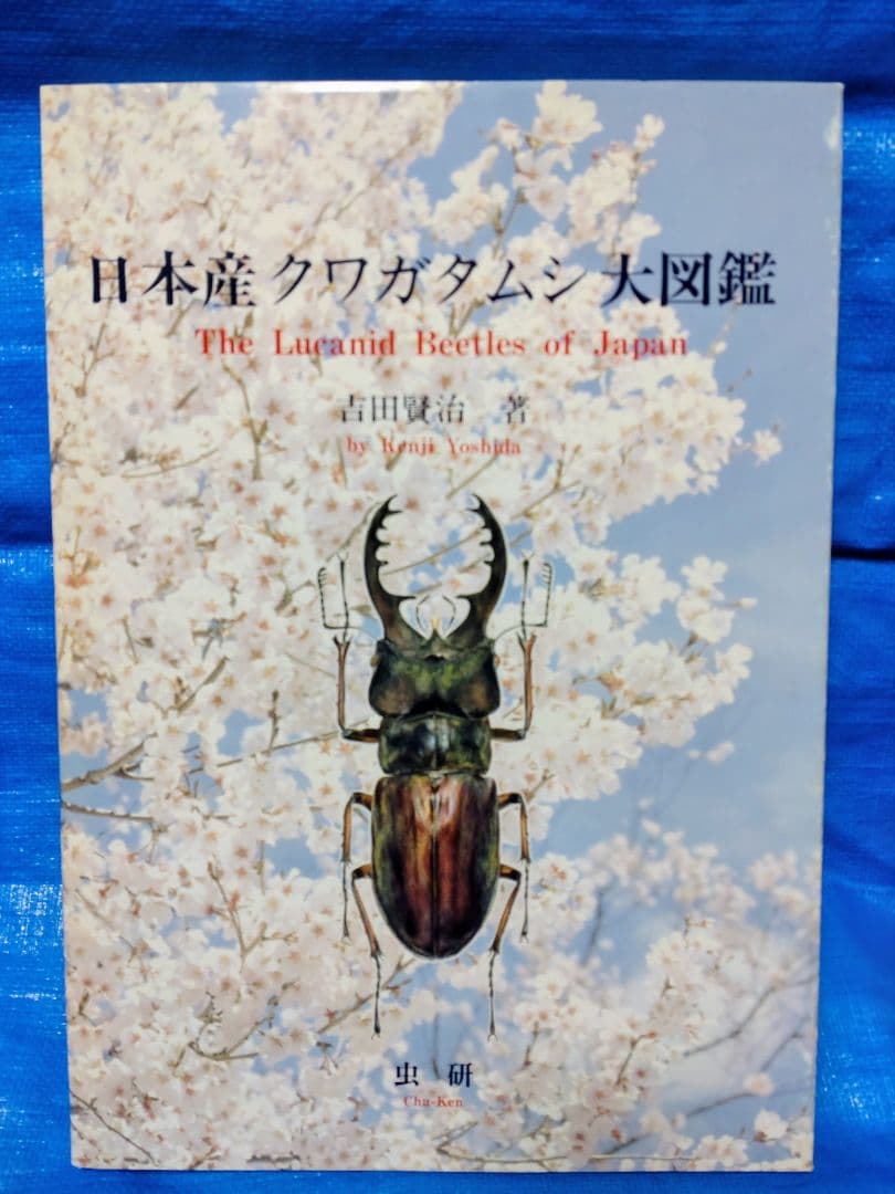 日本産クワガタムシ大図鑑　吉田賢治著　虫研