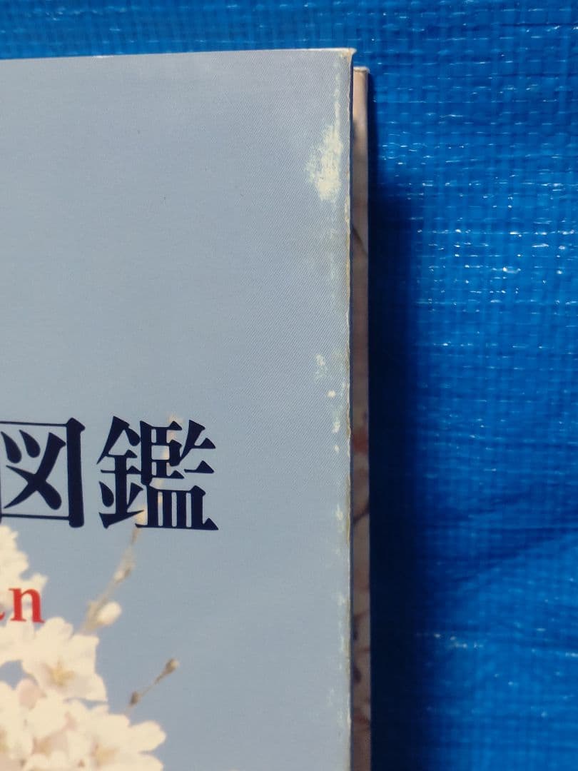 日本産クワガタムシ大図鑑　吉田賢治著　虫研