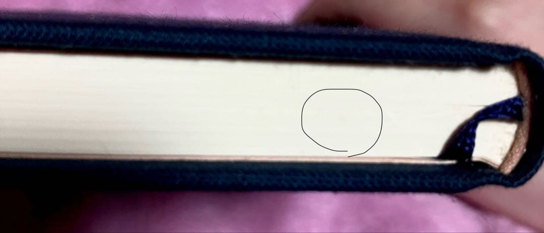 カネコアヤノ　わたしのまっしろときんいろ