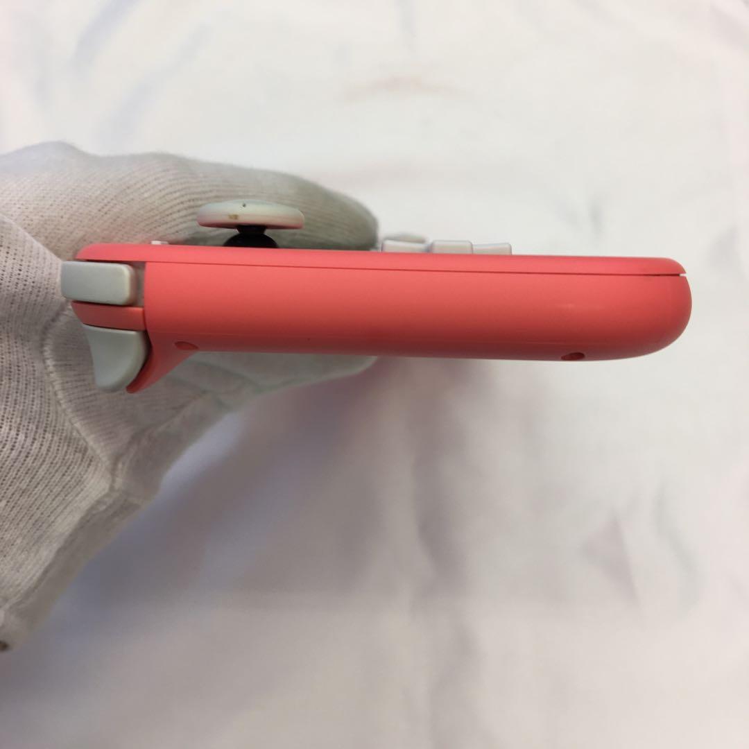 Nintendo Switch Lite スイッチ HDH-001 ゲーム